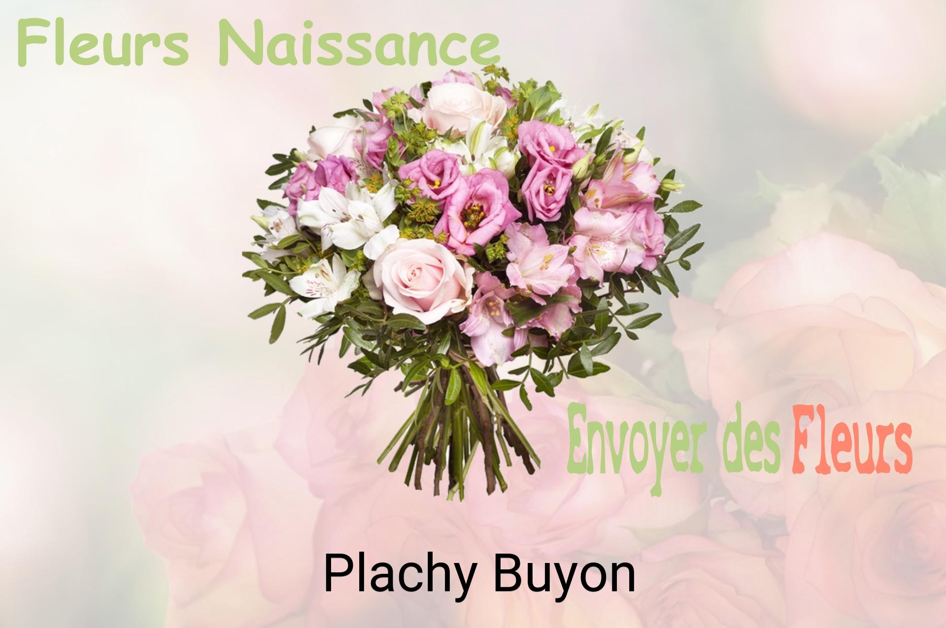 Bouquet de fleurs de naissance livré à Plachy-Buyon