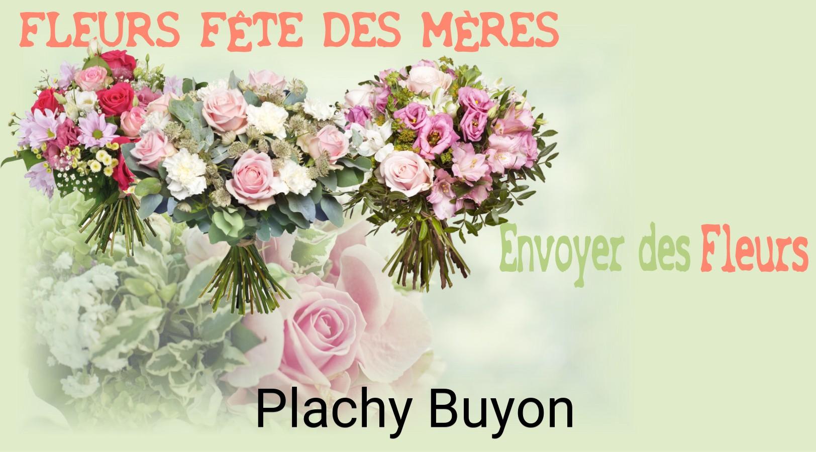 Bouquet de Fête des Mères livré à Plachy-Buyon